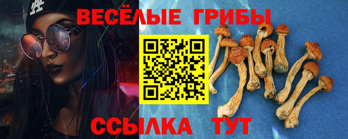 магазин  наркотиков  Вход с VPN  Смоленск  Псилоцибиновые грибы Psilocybine cubensis 