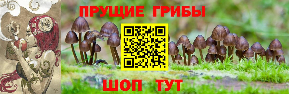 Галлюциногенные грибы мицелий Смоленск